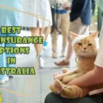 Cat insurance with dental coverage